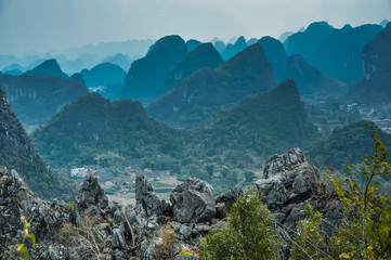 李国庆的人物履历