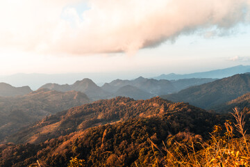 埃及文化